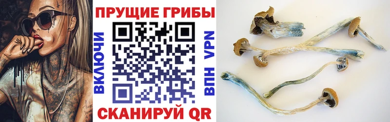 Галлюциногенные грибы мухоморы  Урюпинск 