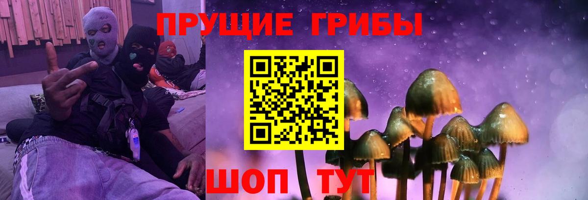 Урюпинск  Галлюциногенные грибы прущие грибы  Вход с VPN 