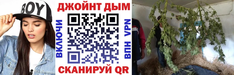 Шишки марихуана конопля  цены   Урюпинск 